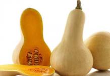 Pita od muškatne tikve