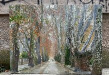 Veliki Marin Topić: Genijalac s kistom