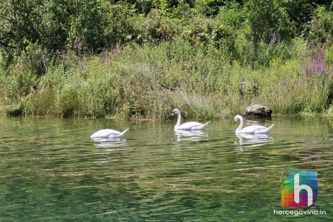 U Hercegovini danas pretežno vedro i sunčano