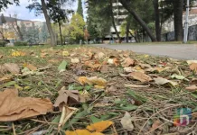 U Bosni i Hercegovini sunčano s malom do umjerenom oblačnošću