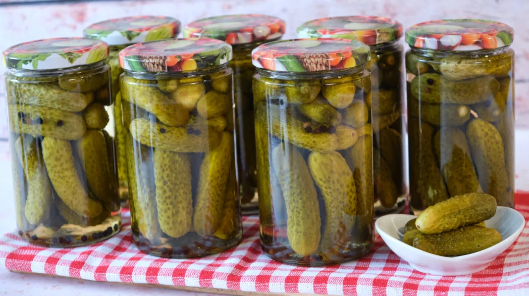 Brojne pogodnosti za organizam