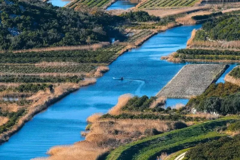 Zlatna ribica u dolini Neretve zabrinula stručnjake: Naizgled bezazlena, ali može narušiti ekosustav