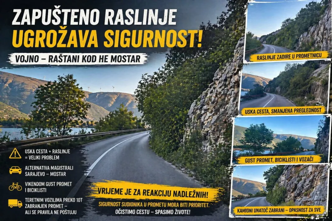 Cesta Vojno – Raštani kod HE Mostar zarasla i opasna za promet?