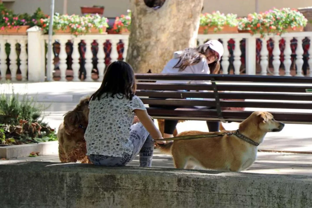 EU uvodi stroga pravila: Obvezno mikročipiranje pasa i mačaka, zabrana zlostavljanja