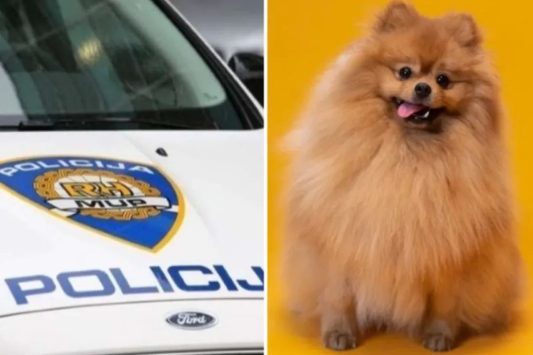 Pomilovala pomeranca, uslijedio je užas: ‘Tetovirani tip pokucao mi je na vrata i mahao pištoljem’