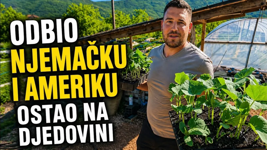 (VIDEO) Priča iz Tihaljine