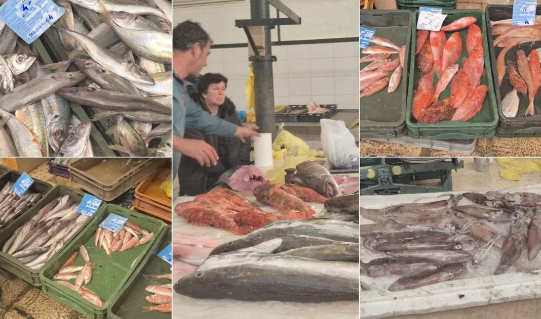 Splitska Peškarija i dalje ostaje nezaobilazno mjesto za sve koji traže kvalitetne namirnice iz Jadrana