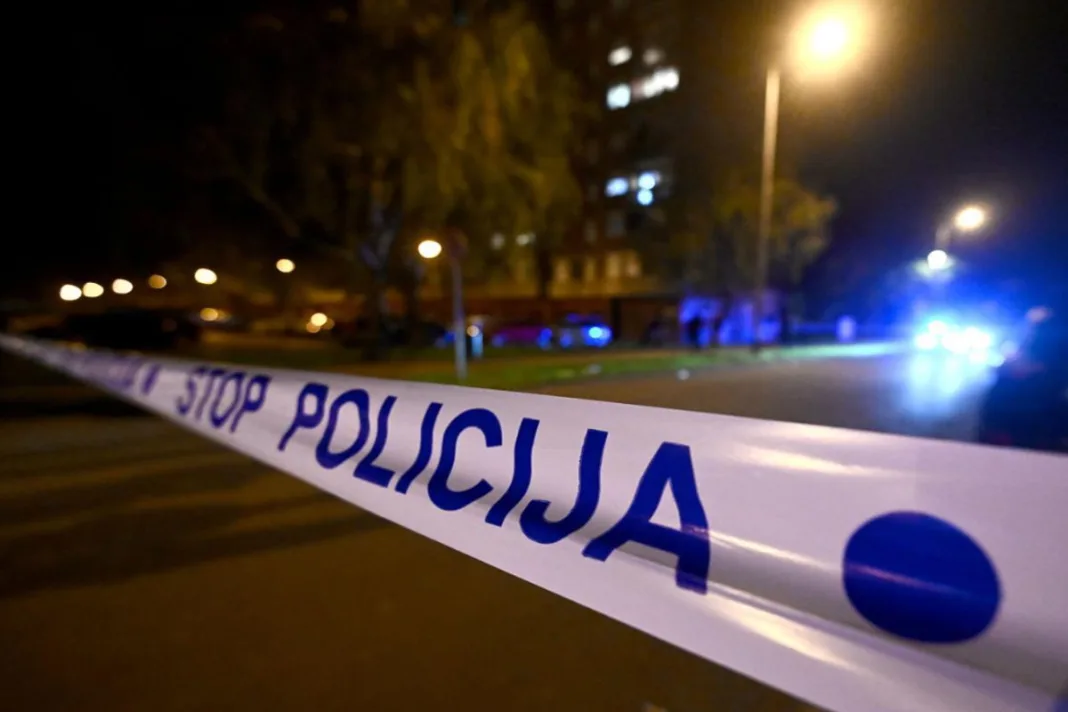 Ubojstvo u BiH: Muškarac preminuo nakon što je pao nakon naguravanja