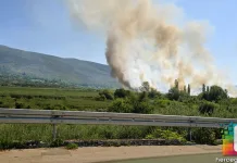 Požar u okolici Metkovića uz granicu s BiH
