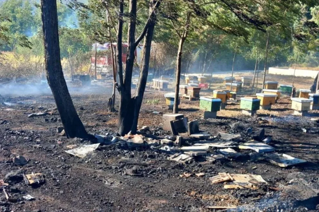 Požar kod Ljubuškog uništio pčelinjak