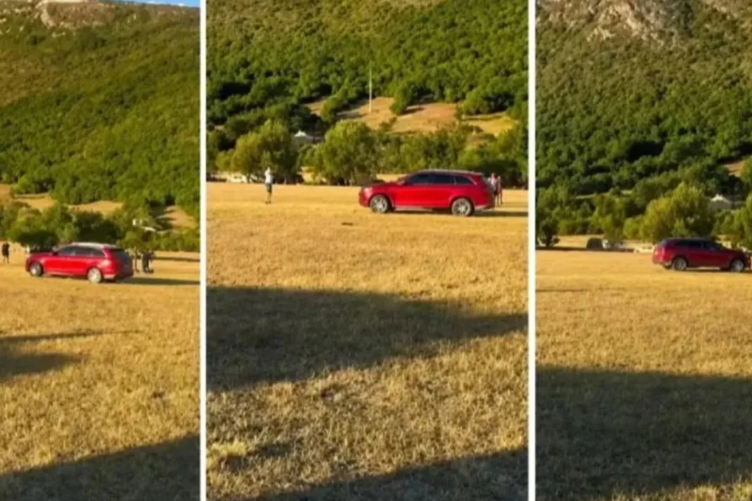 Nakon kaosa na konjskim utrkama kod Bileće, Vujović i Samardžić idu iza rešetaka