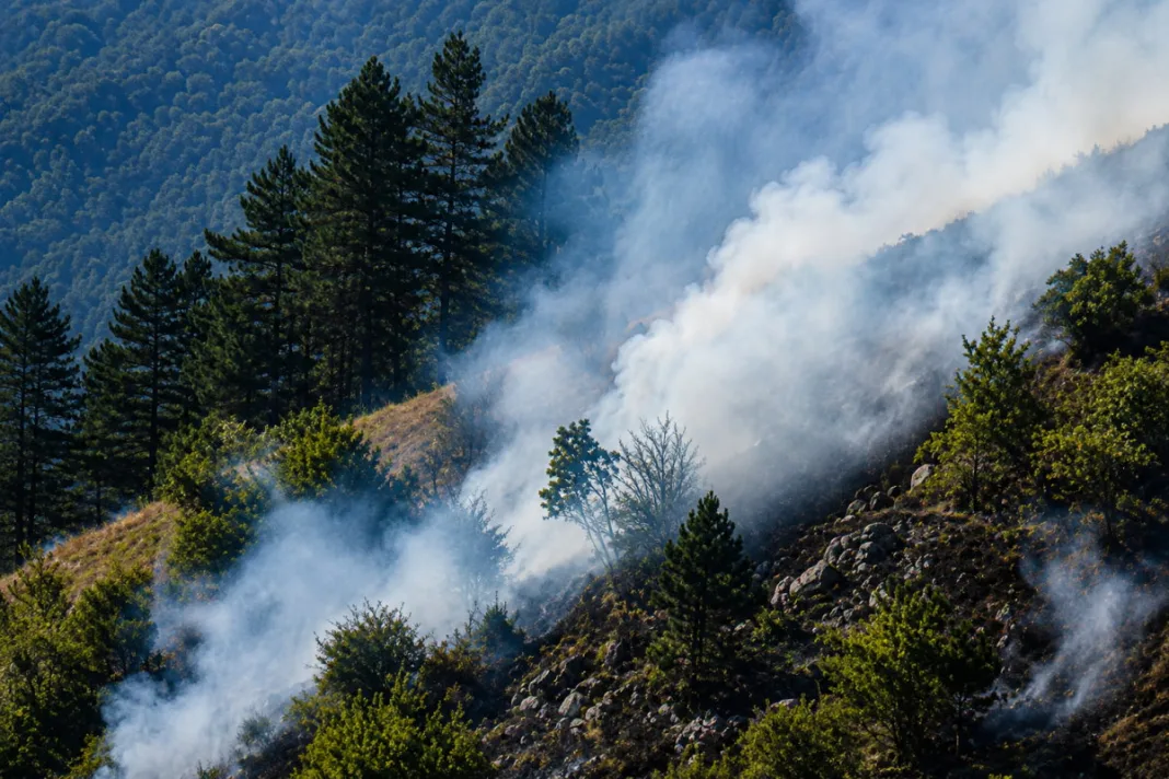 Brojne vatrogasne intervencije širom Hercegovine: Gorjeli trava, šuma, raslinje i smeće