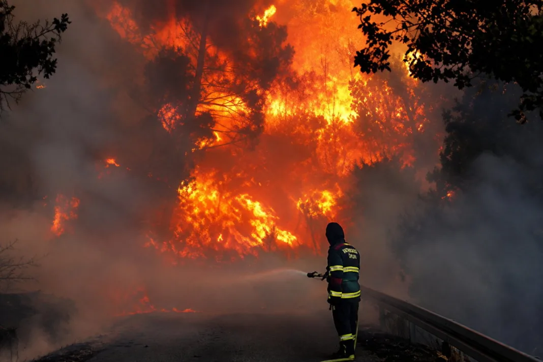 Drama na Pelješcu: Požar se širi, vatrogasci hitno poslali dva kanadera