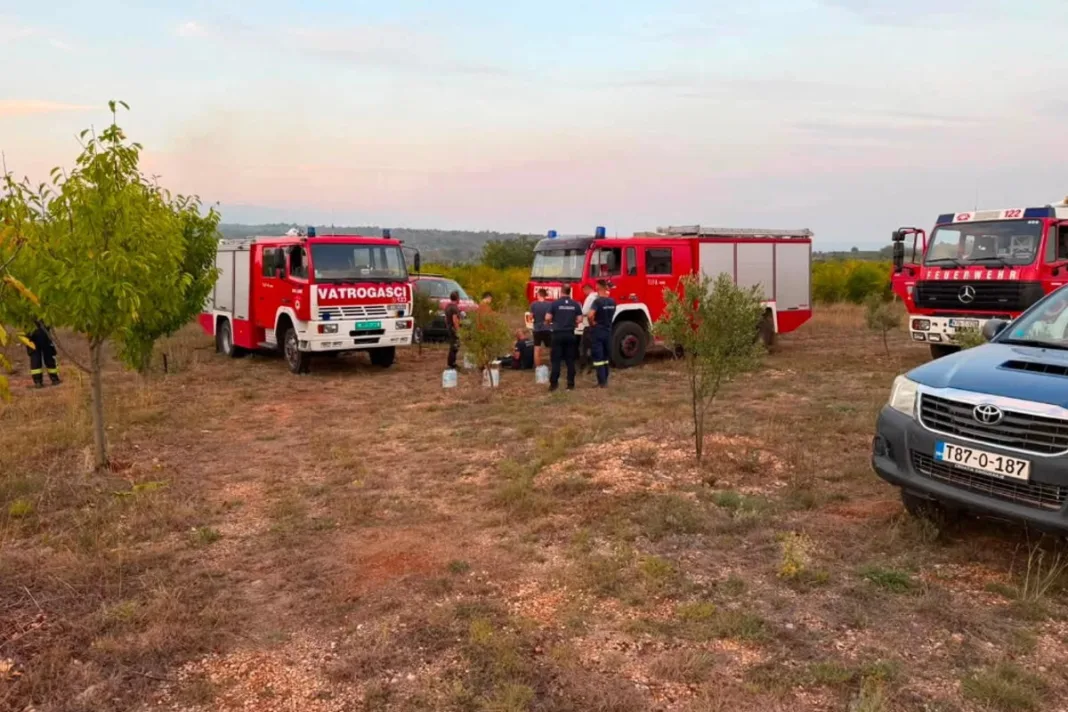 Požar u Cernu pod kontrolom: Air Tractori ispustili 44.000 litara vode i pjenila