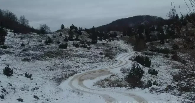Pavlova jela i Kilava bukva