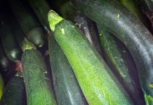 Kuhinjska inspiracija – Od doručka do deserta: Osam ideja kako potrošiti višak tikvica