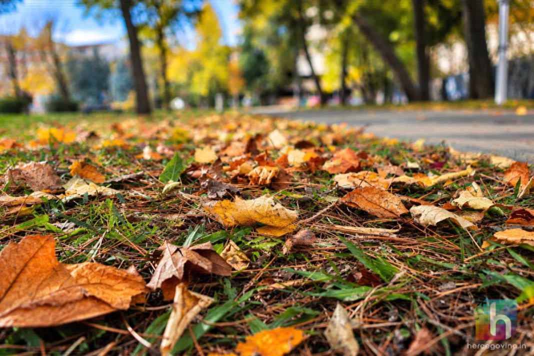 Žuti meteoalarm u pet regija zbog guste magle: Pred nama je sunčani petak, pa novi kišni vikend